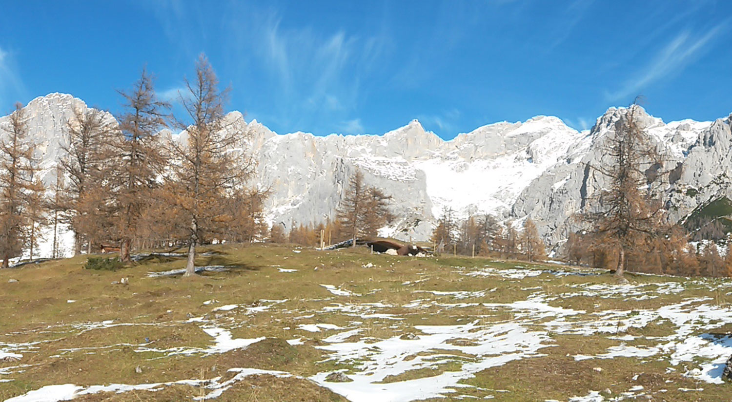 Vacation in Hochegg - Panorama Dachstein
